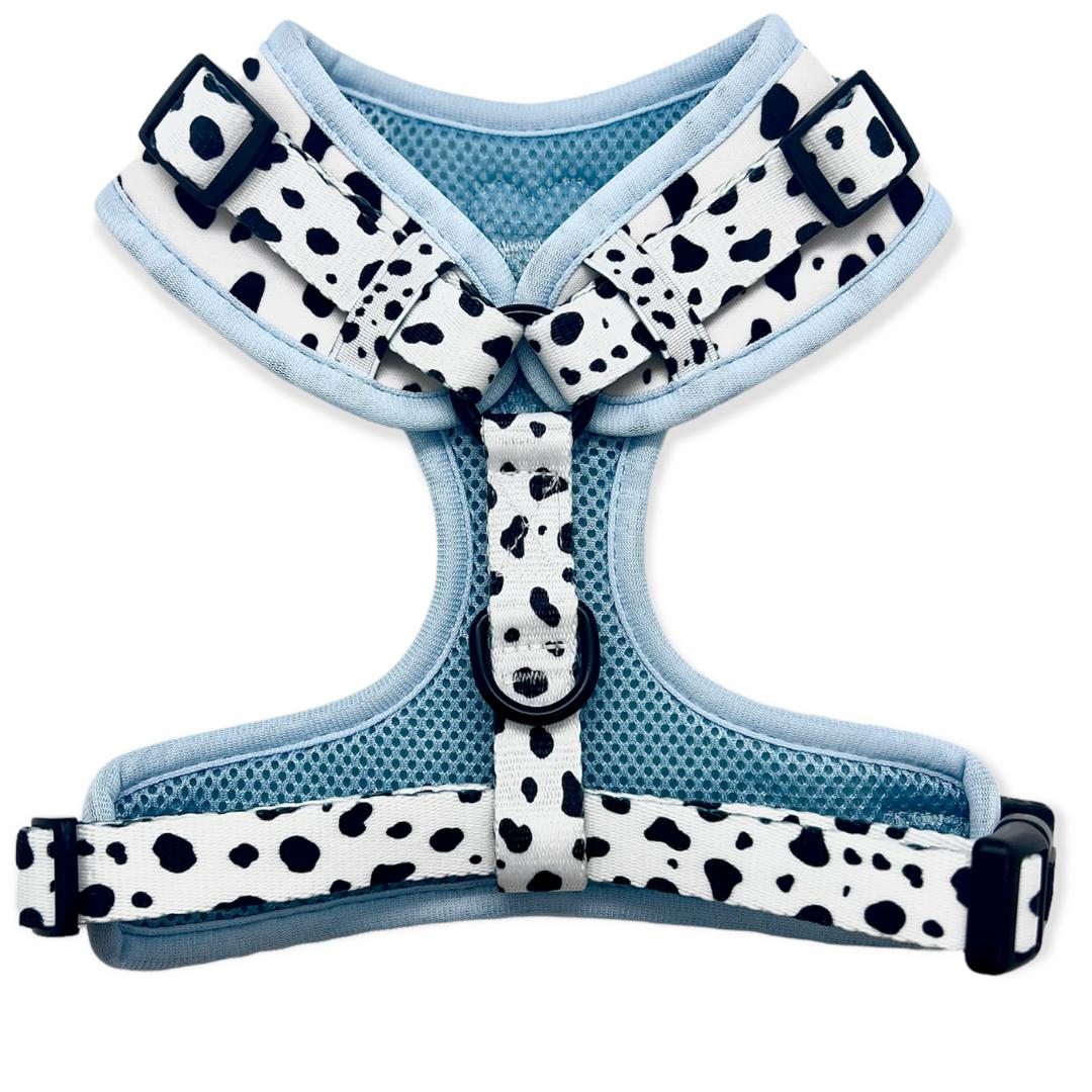 blue dalmatian print adjustable dog harness