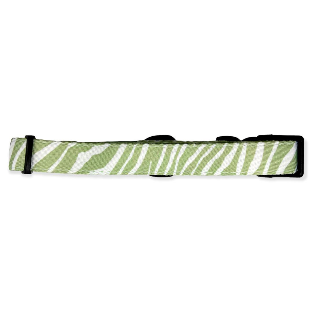 green zebra print dog collar